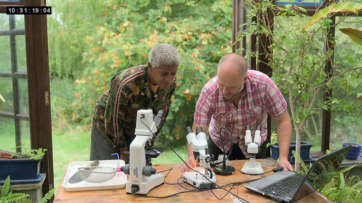 BBC Two Gardeners