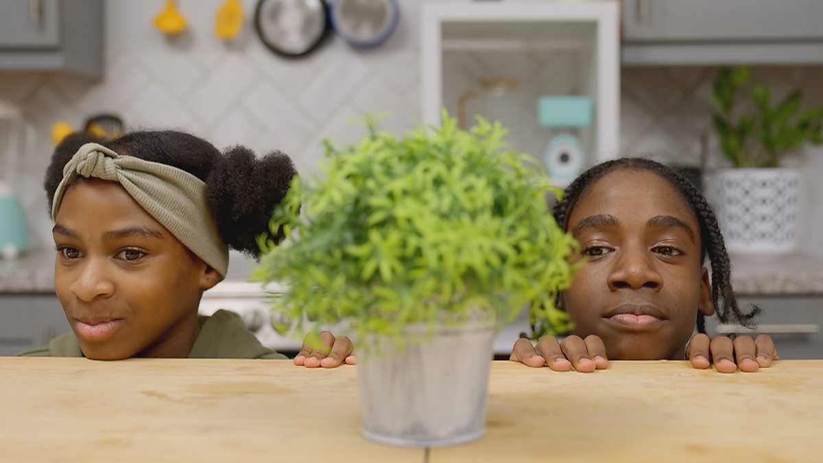 Meet The McQueens Series 1 16 Best Worst Birthday Ever BBC IPlayer meet-the-mcqueens-series-1-16-best-worst-birthday-ever-bbc-iplayer