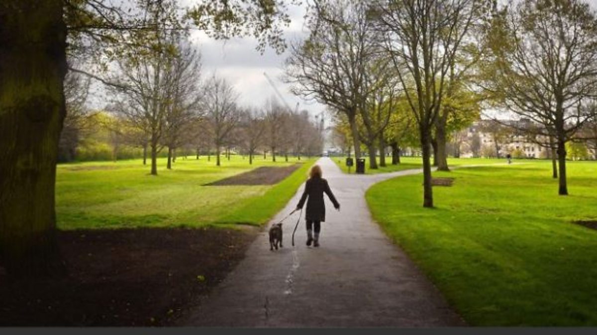 BBC Radio Cambridgeshire Dotty McLeod, Louise Hulland sits in (09/03