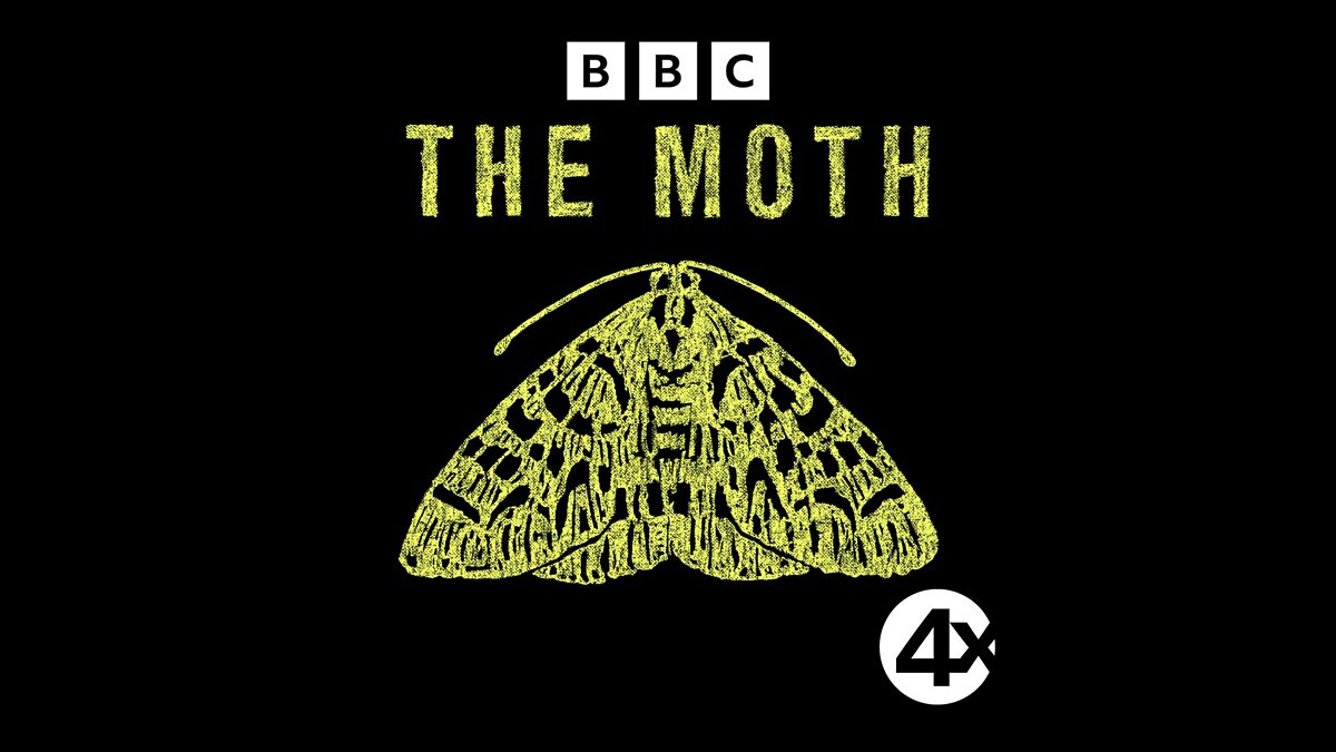 The Moth 