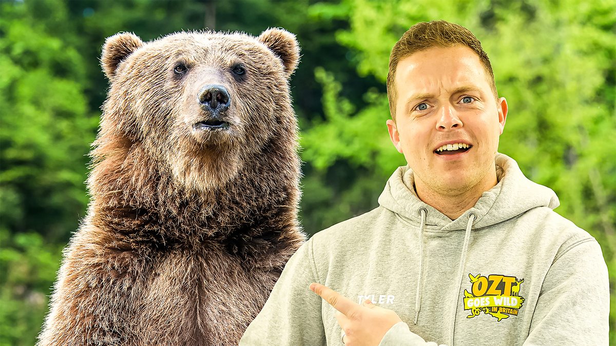 One Zoo Three OZT Goes Wild in Britain 1. Woodlands BBC iPlayer