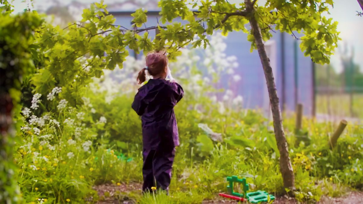 BBC Little Green Fingers