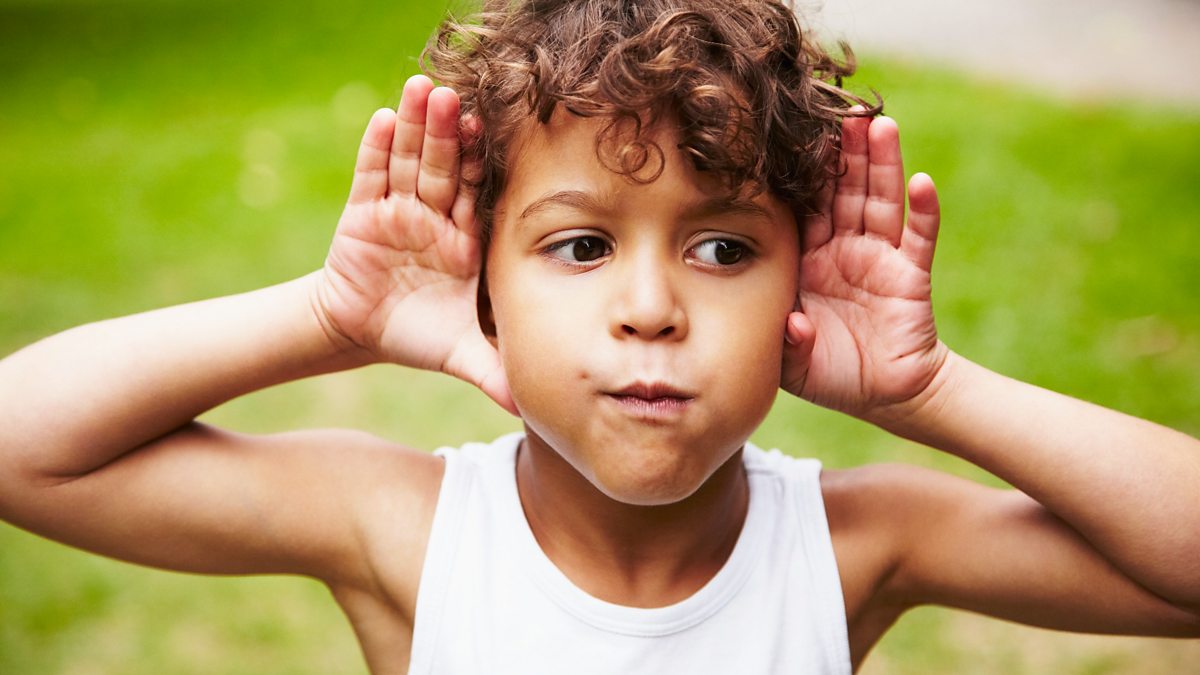 BBC World Service - CrowdScience, How do my ears sense direction?