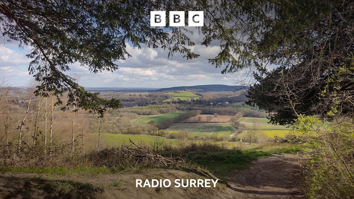 BBC Radio Surrey - Walking The North Downs Way Through Surrey