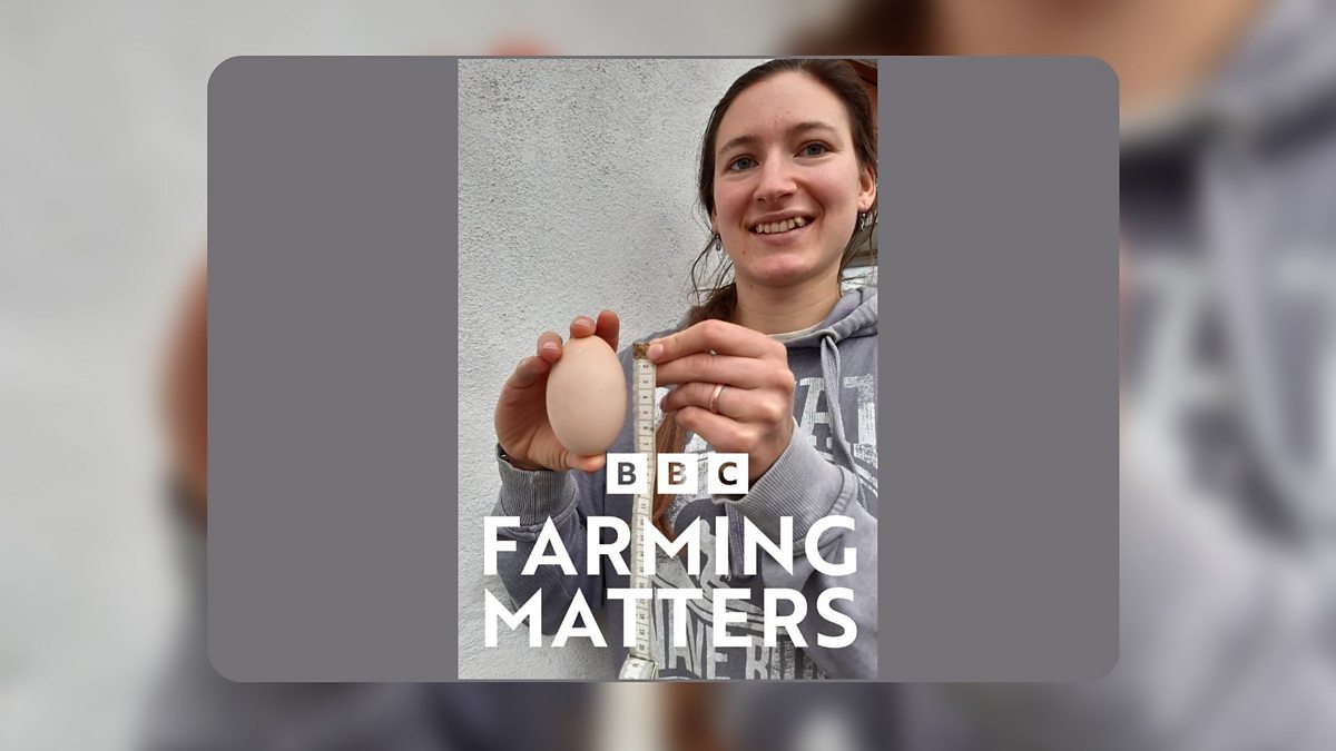 BBC Radio Ulster - Farming Matters, BBC Radio Ulster Farming Matters ...