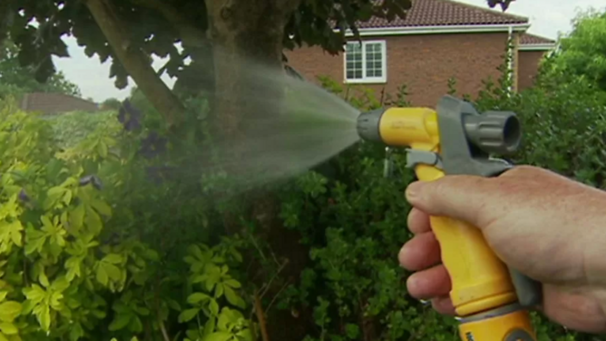 BBC Radio Devon Pippa Quelch, Angela Kalwaites sits in (17/04/2023