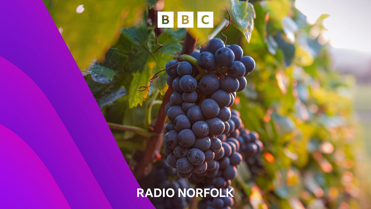 BBC Radio Norfolk Chris Goreham, Norfolk vineyard 'driven by climate