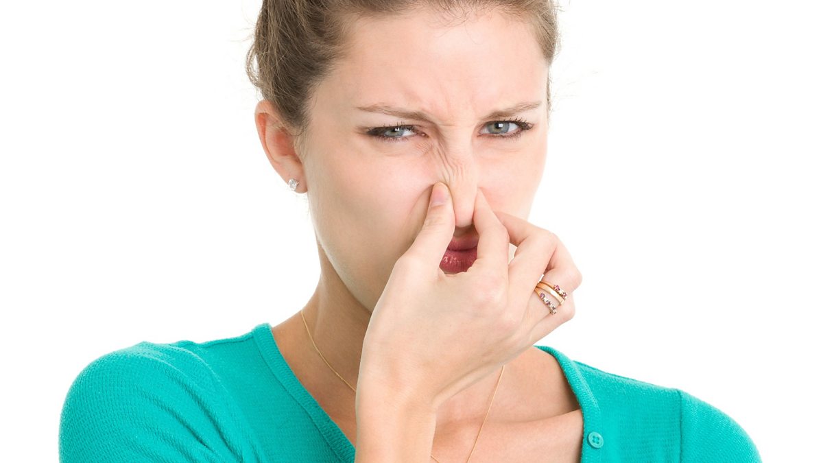 BBC World Service CrowdScience, What's living inside my gut?, Why do