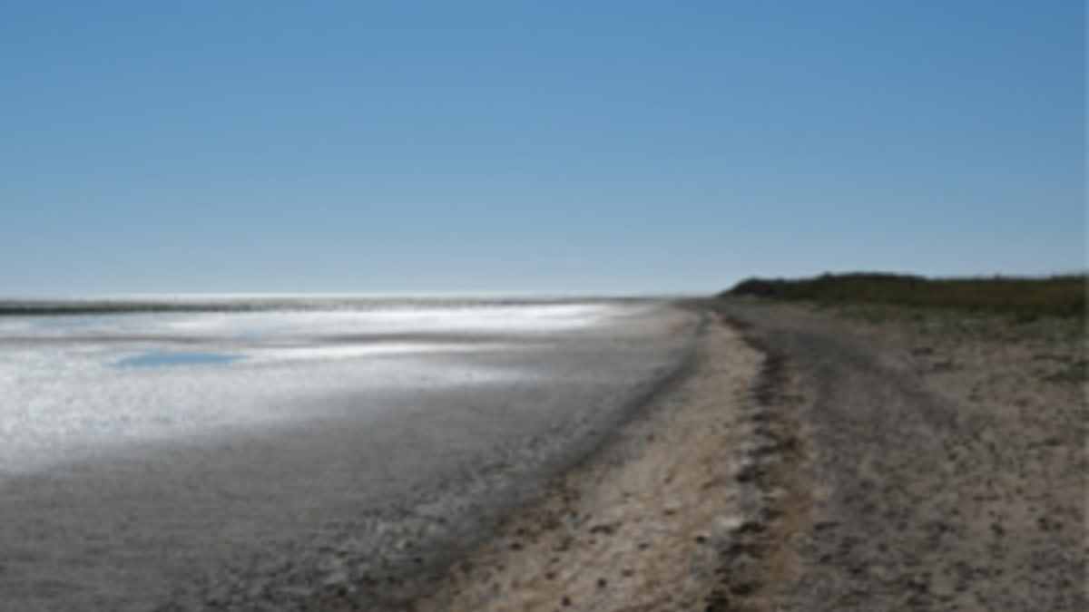 BBC Radio Lincolnshire Scott Dalton, Early May bank holiday (01/05