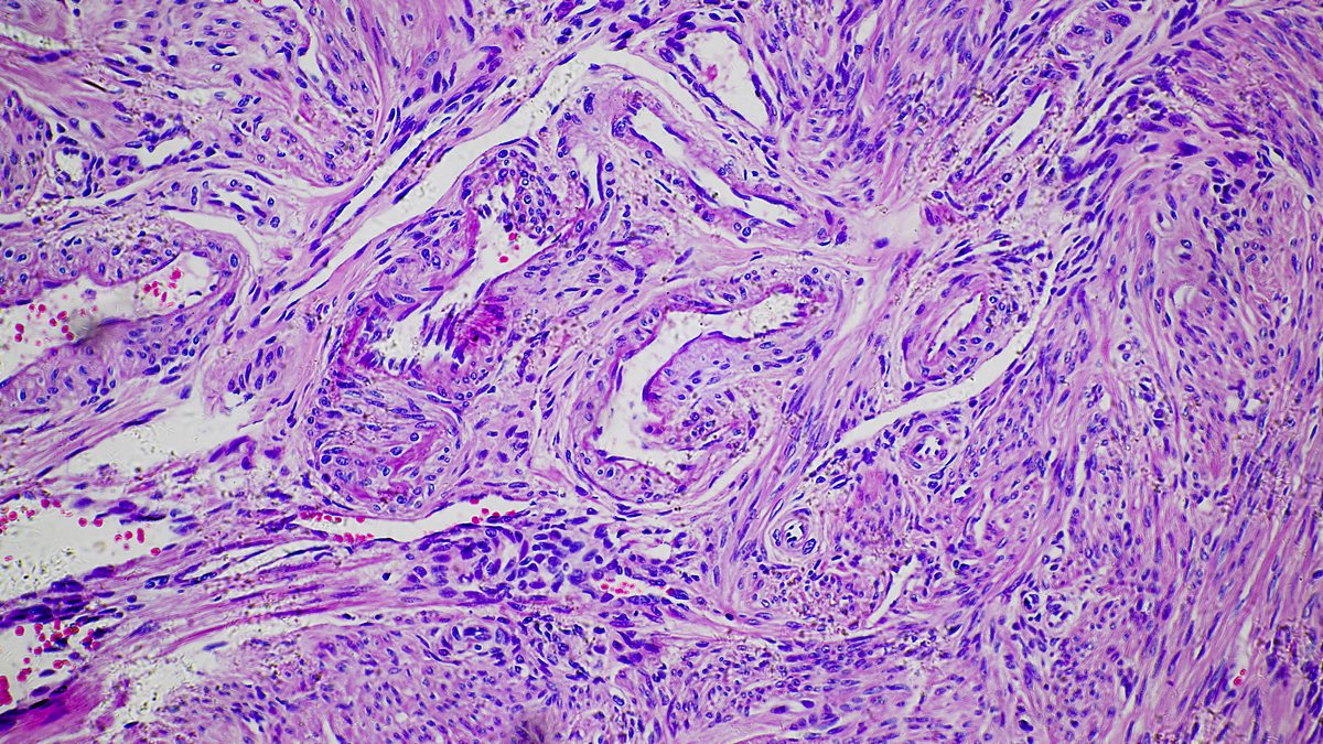 BBC Radio 4 - The Truth Police