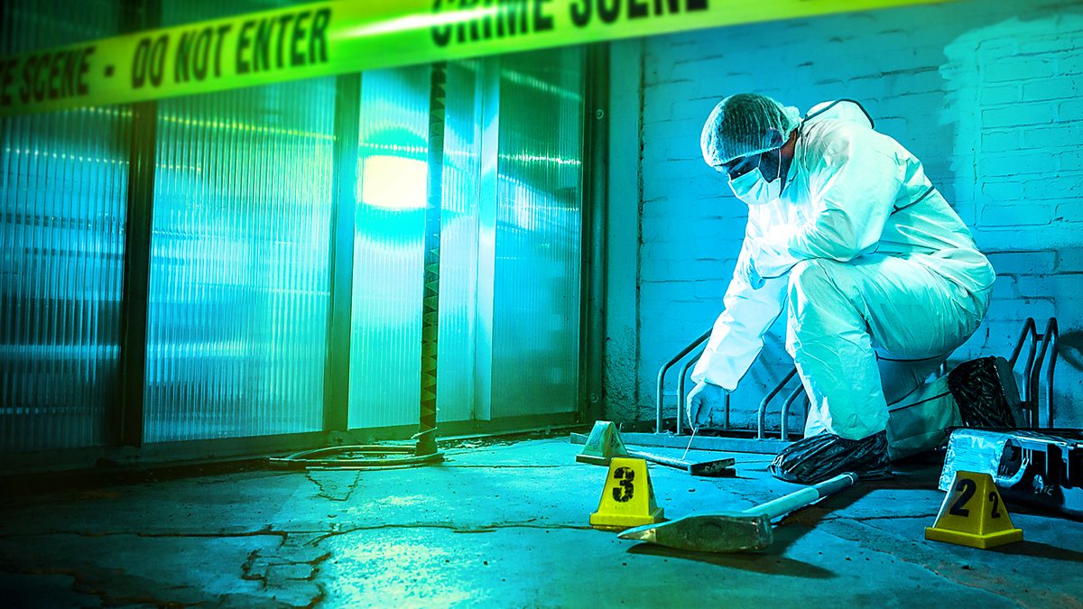 BBC Two Forensics The Real CSI