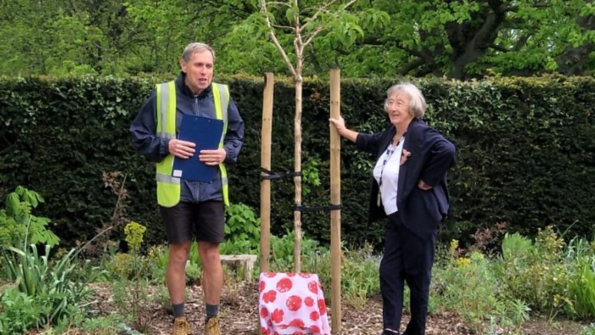 BBC Radio Kent Sunday Gardening, Danson Park's Old English Garden