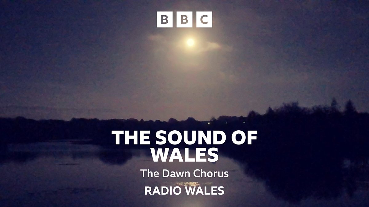 BBC Radio Wales The Sound of Wales, The Dawn Chorus