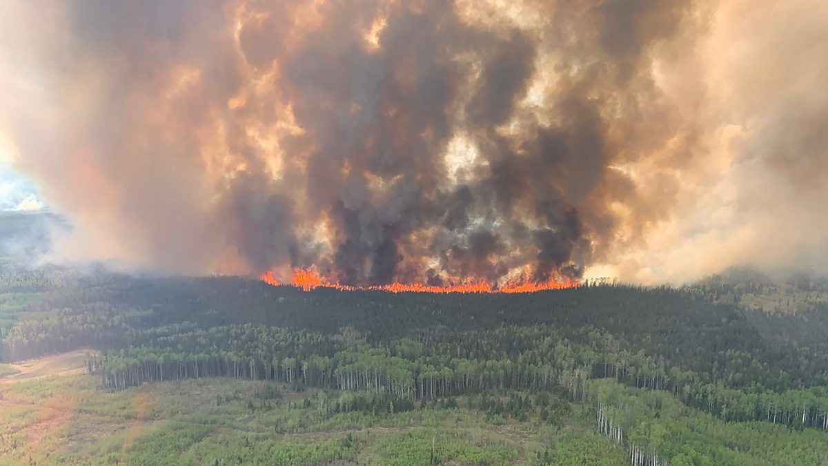 Bbc World Service - Science In Action, Return Of The Wildfires