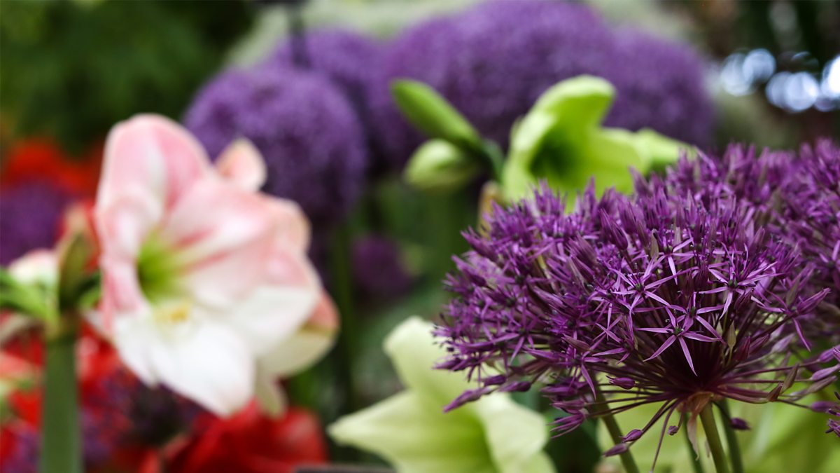 Bbc Two - Rhs Chelsea Flower Show, 2023, Episode 11
