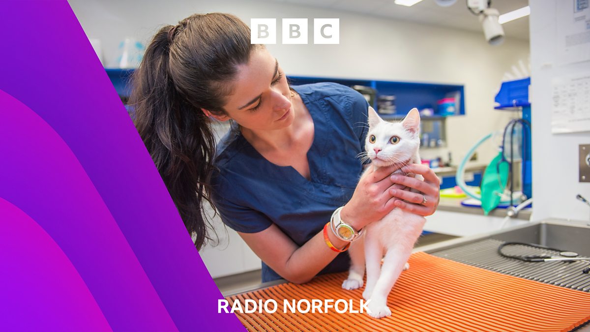 BBC Radio Norfolk Chris Goreham, Pet owner says emergency vet cost is too high