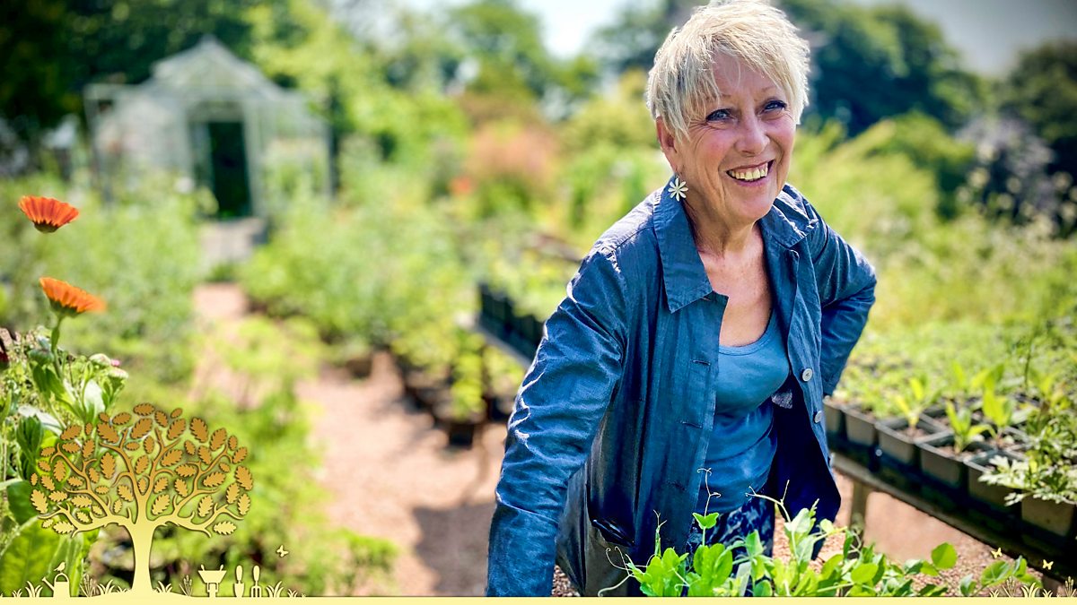 Bbc Iplayer Gardeners World 2023 Episode 15