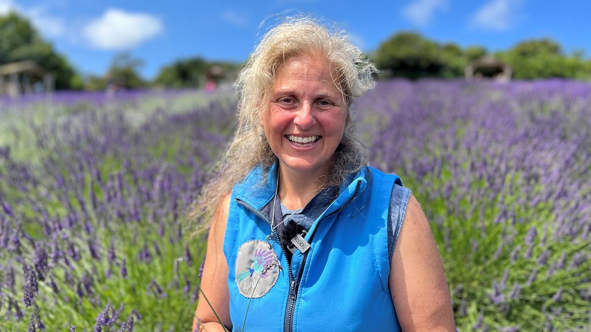 BBC Radio Cornwall James Churchfield, 03/07/2023, 'Liquid gold