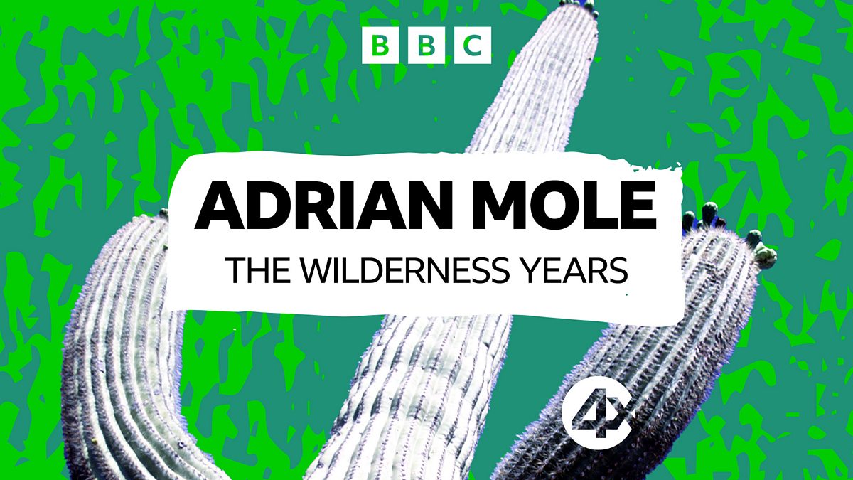 BBC Radio 4 Extra - Sue Townsend - Adrian Mole: The Wilderness Years