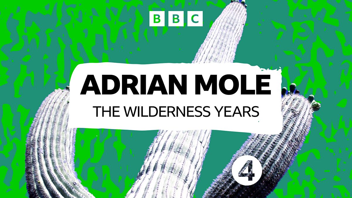 BBC Radio 4 - Book at Bedtime, Adrian Mole: The Wilderness Years