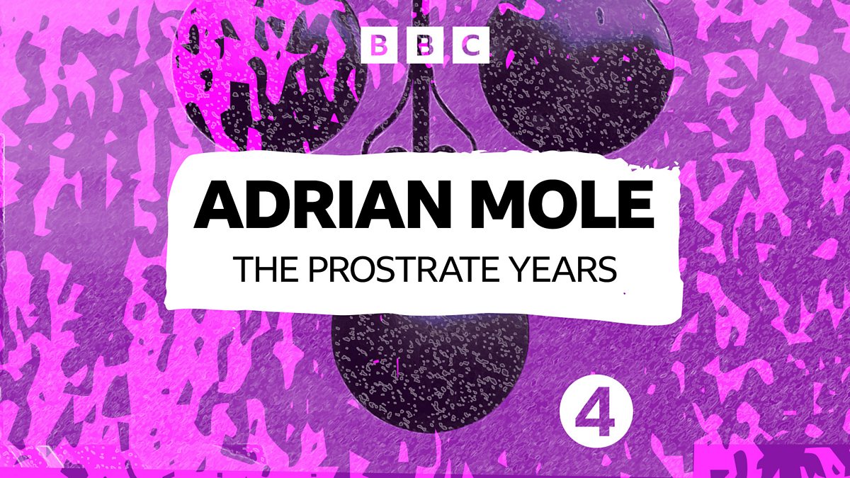 BBC Radio 4 The Diaries of Adrian Mole, The Prostrate Years, Episode 1