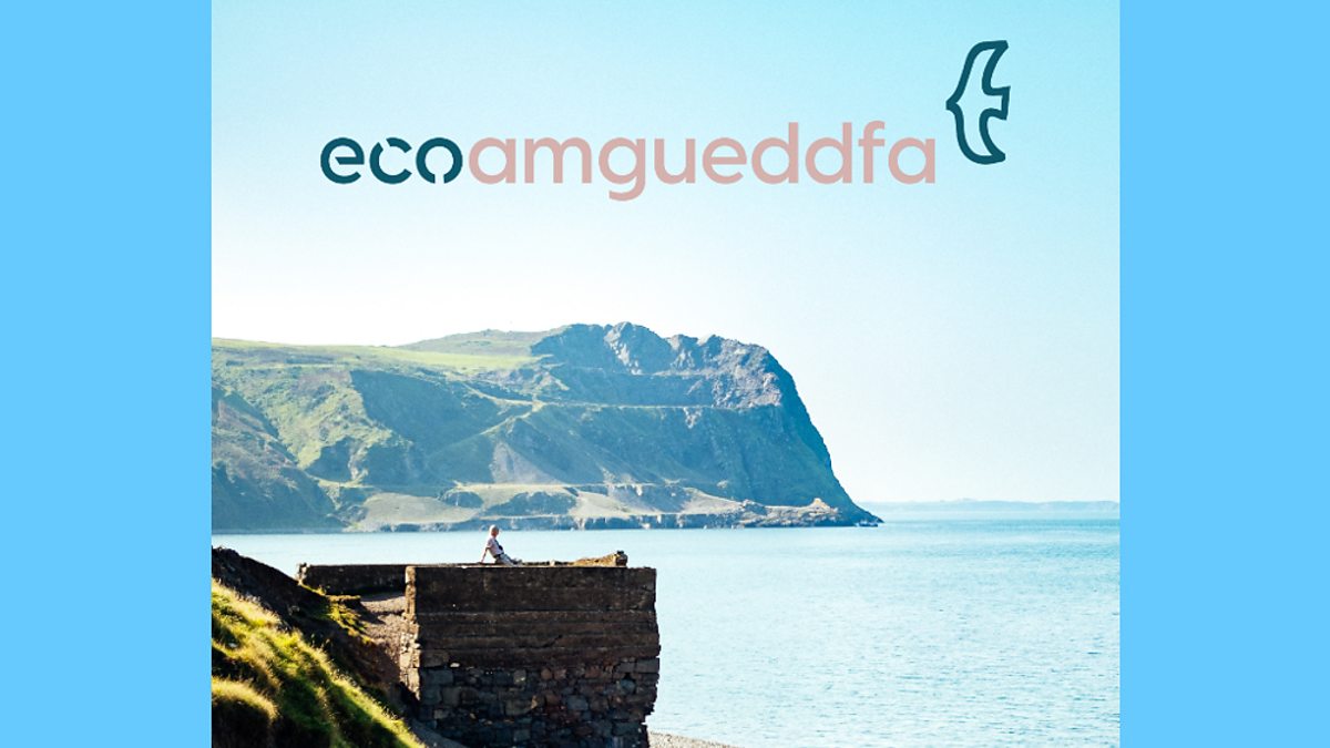 BBC Radio Cymru - Aled Hughes, Diwrnod Gwrando y Byd, Ecoamgueddfa - yr ...