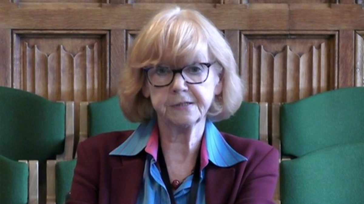 BBC Parliament Select Committees, Lords Justice and Home Affairs