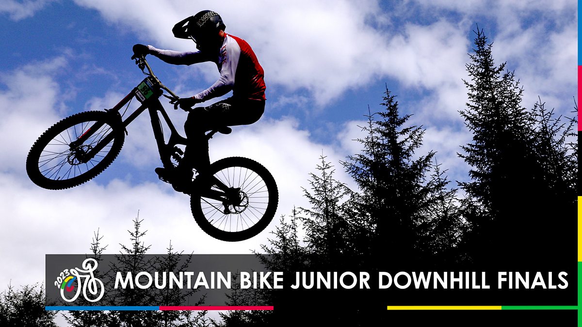 Junior best sale downhill bike