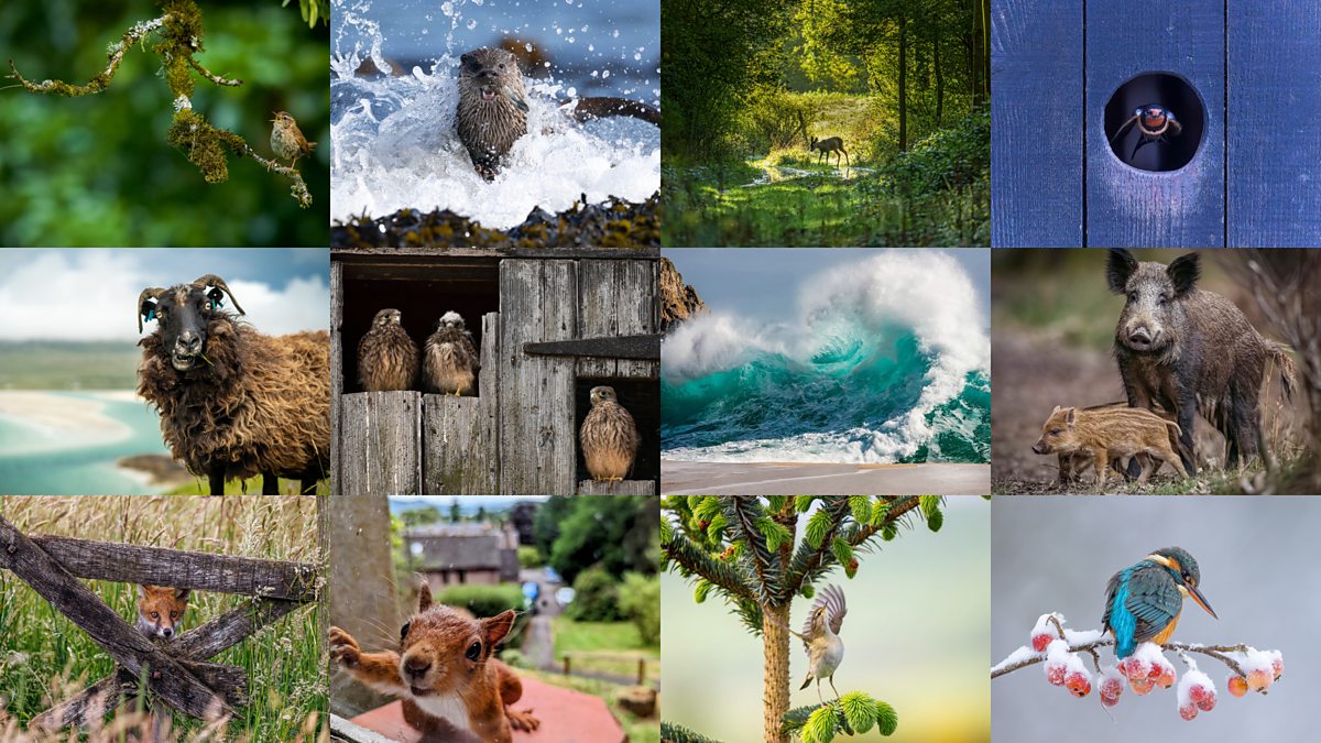 Countryfile Calendar 2025 Winners Pictures List Bbc Free 