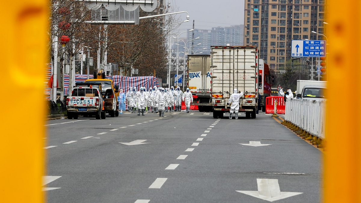 BBC World Service - Science In Action, Pandemic surveillance system at risk