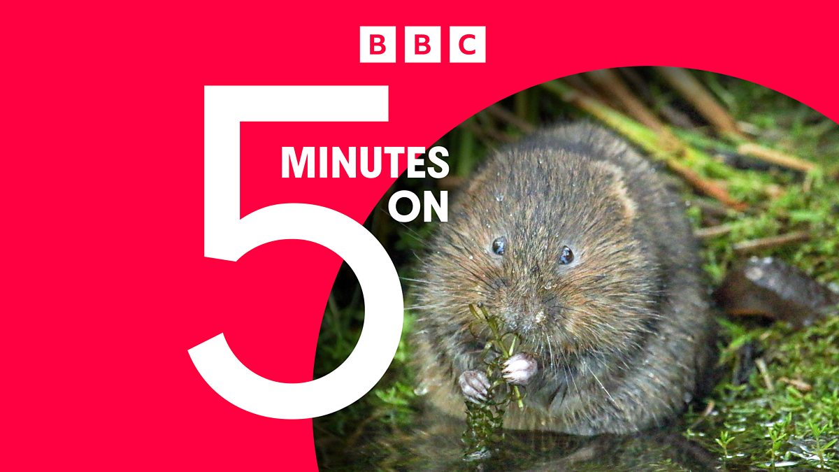 BBC News - Latest News Picks, Ratty's Return to the Lake District