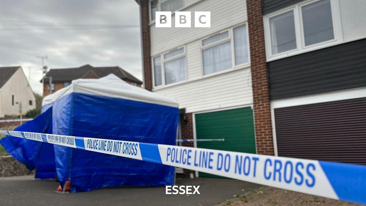 Bbc Essex Bbc Essex Great Baddow Double Murder Latest