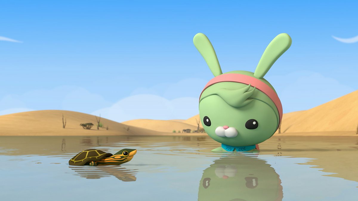 BBC IPlayer - Octonauts: Above & Beyond - Series 3: 1. Pininga Turtle ...