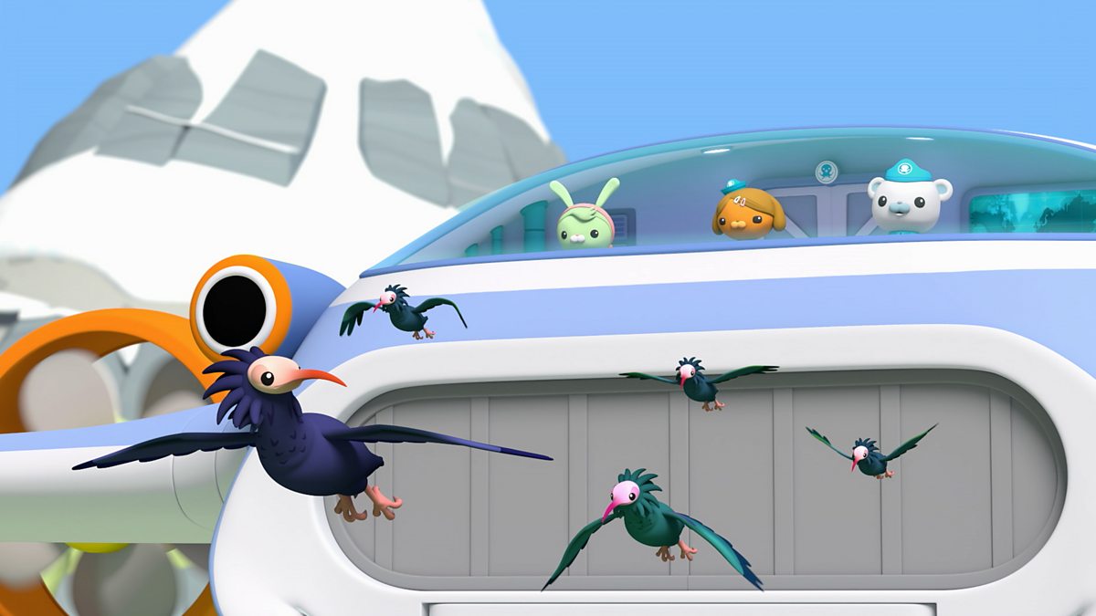 Octonauts: Above & Beyond - Series 3: 24. Bald Ibises - BBC IPlayer