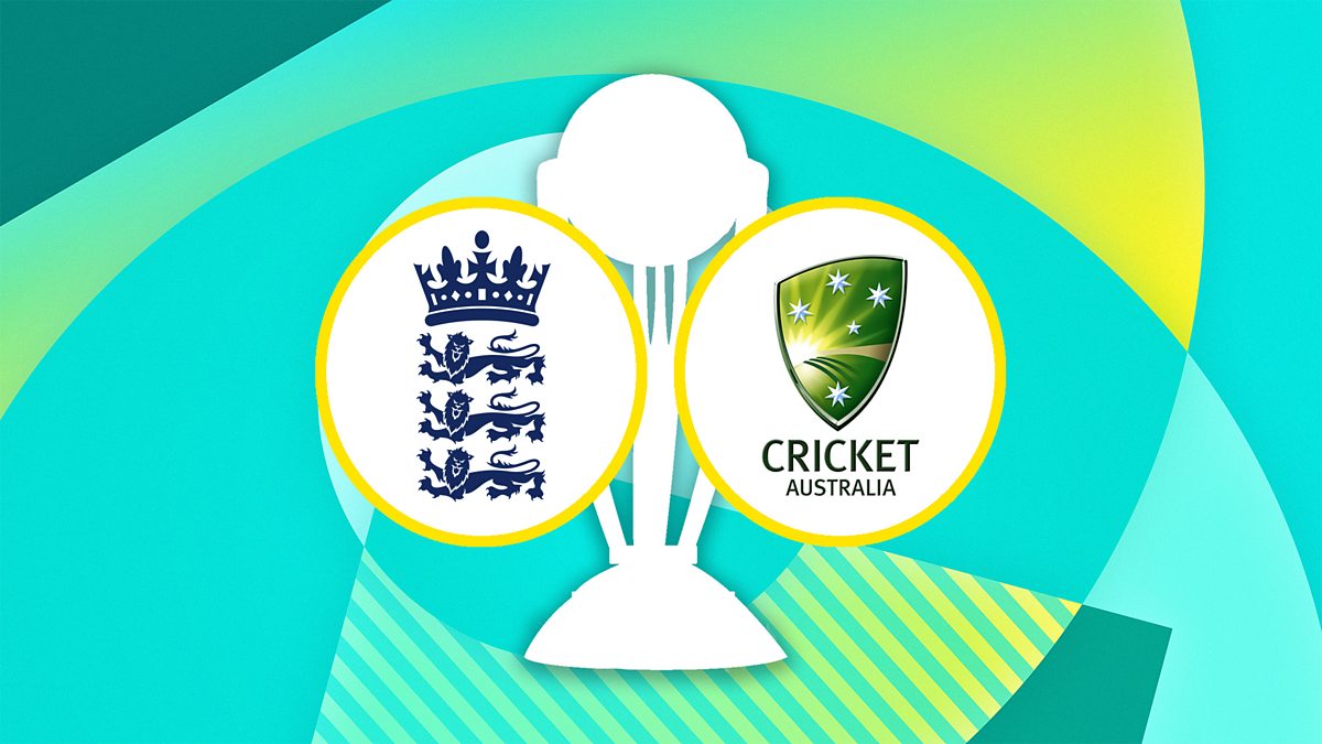 South Africa national cricket team Dolphins England cricket team Australia  national cricket team, cricket, leaf, logo png | PNGEgg