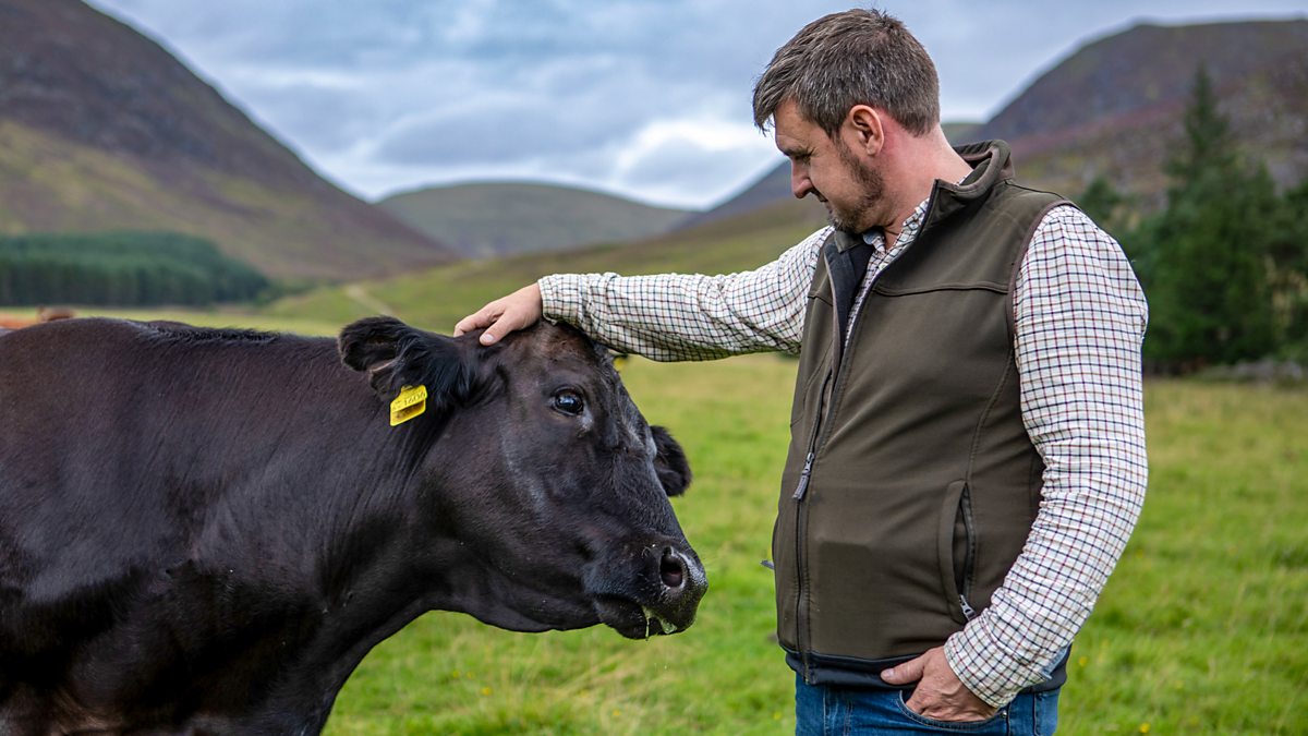 Bbc Two This Farming Life Series 6 Episode 11 