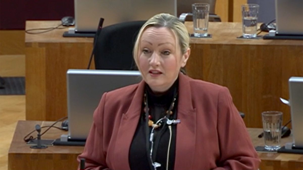 BBC Parliament - Senedd Cymru - Welsh Parliament, Council Tax Statement