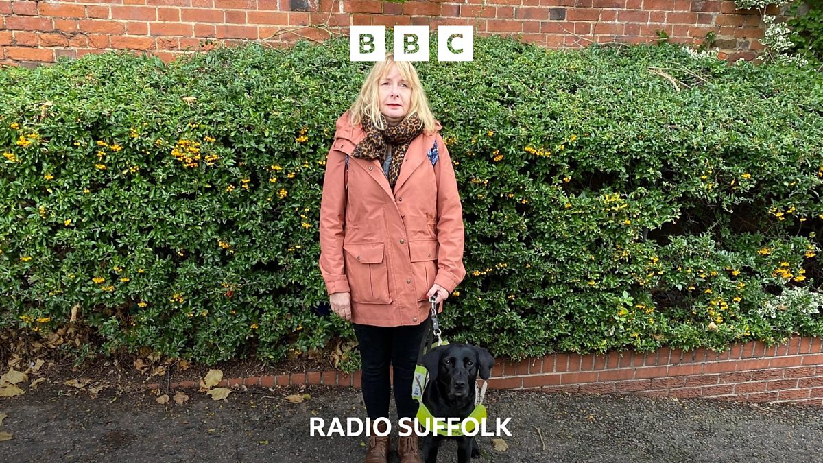 BBC Radio Suffolk BBC Radio Suffolk, Guide dog attacks Claydon woman