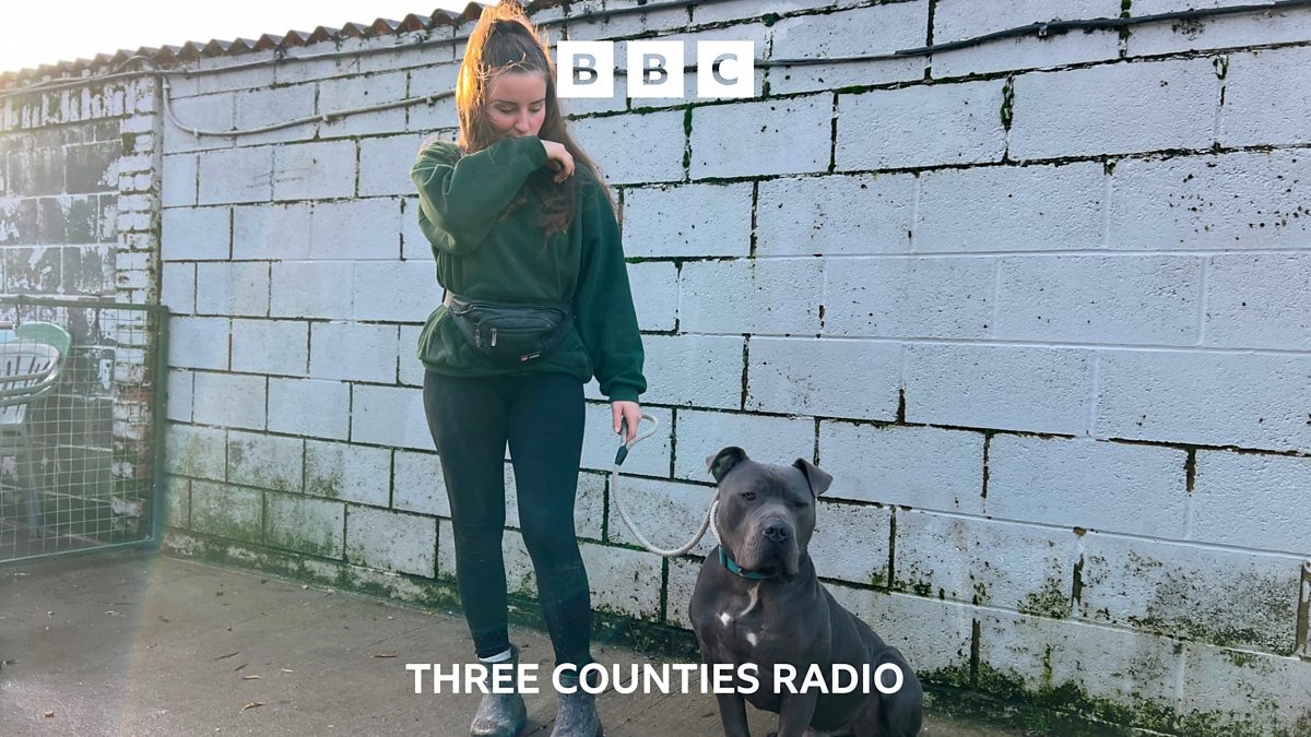 BBC Three Counties Radio BBC Three Counties Radio Dog Pound Near bbc-three-counties-radio-bbc-three-counties-radio-dog-pound-near