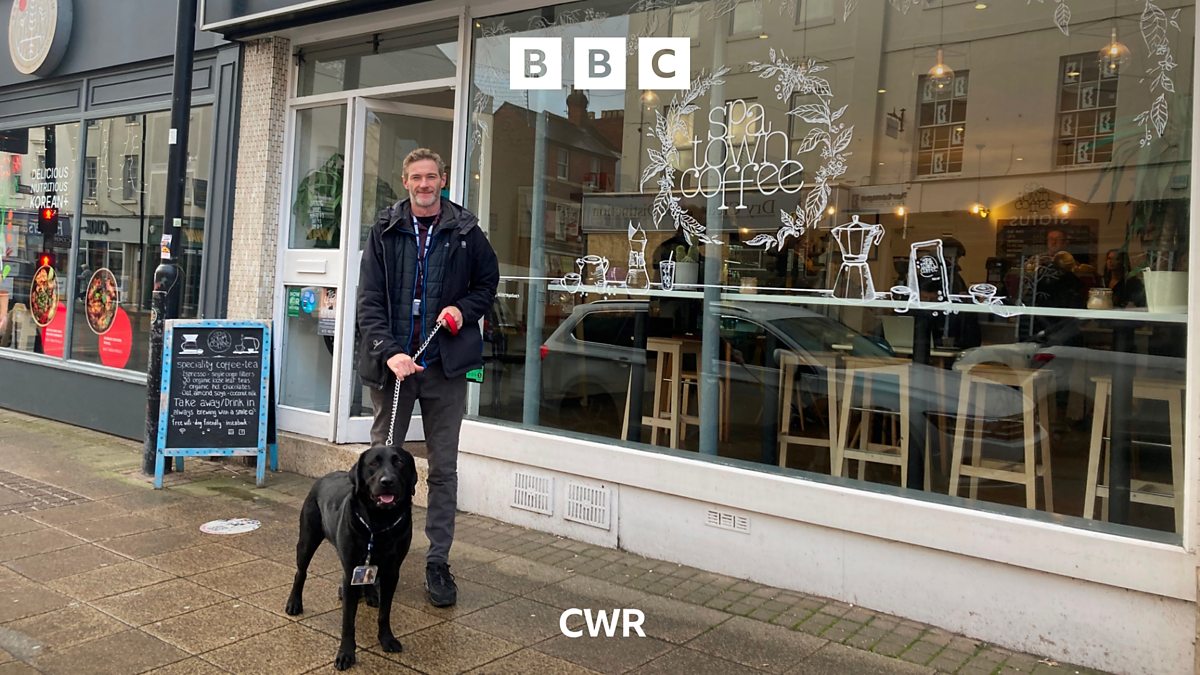 BBC CWR BBC CWR, New Leamington app creates trail of dog friendly shops and restaurants.