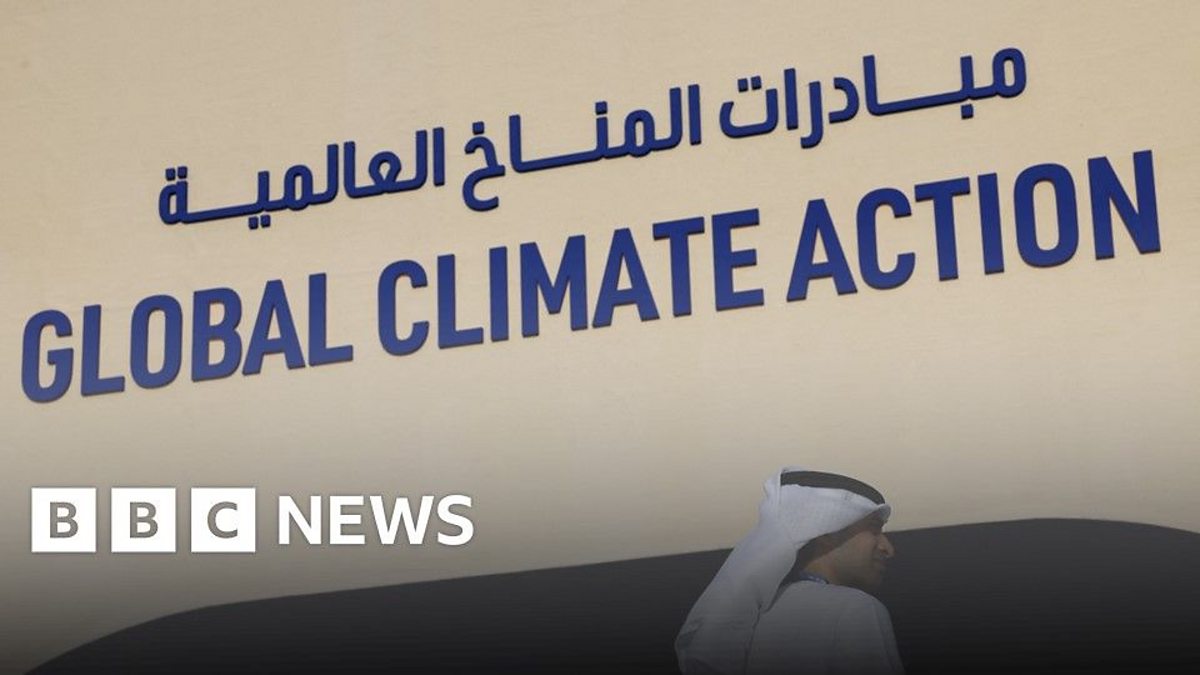 BBC News - COP28 Climate Summit