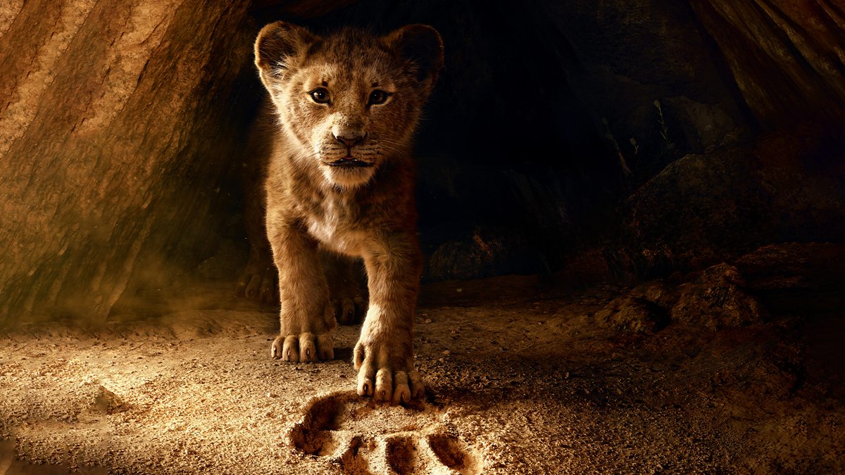 Фото львы из фильма король лев BBC One - The Lion King