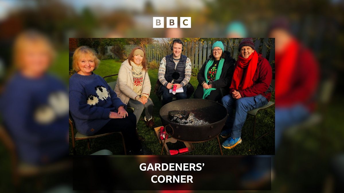 BBC Radio Ulster Gardeners' Corner, Gardeners’ Corner at Christmas