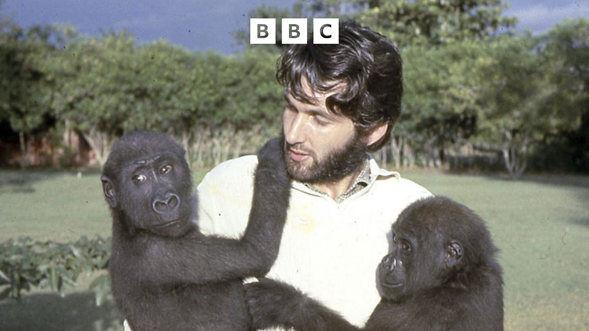 BBC World Service - Witness History, Ibadan Zoo