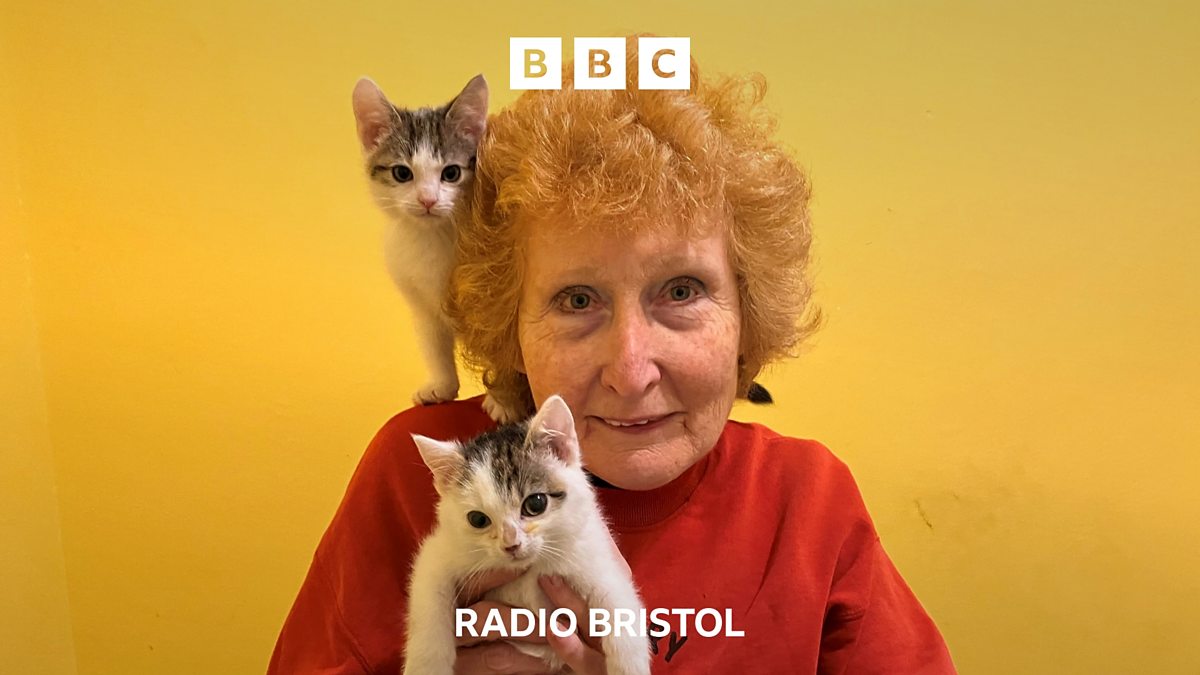BBC Radio Bristol BBC Radio Bristol, “Cats took over Bristol home and