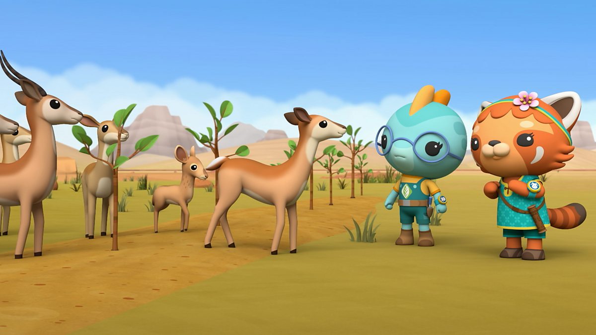 Octonauts: Above & Beyond - Series 4: 15. Gobi Desert - BBC IPlayer