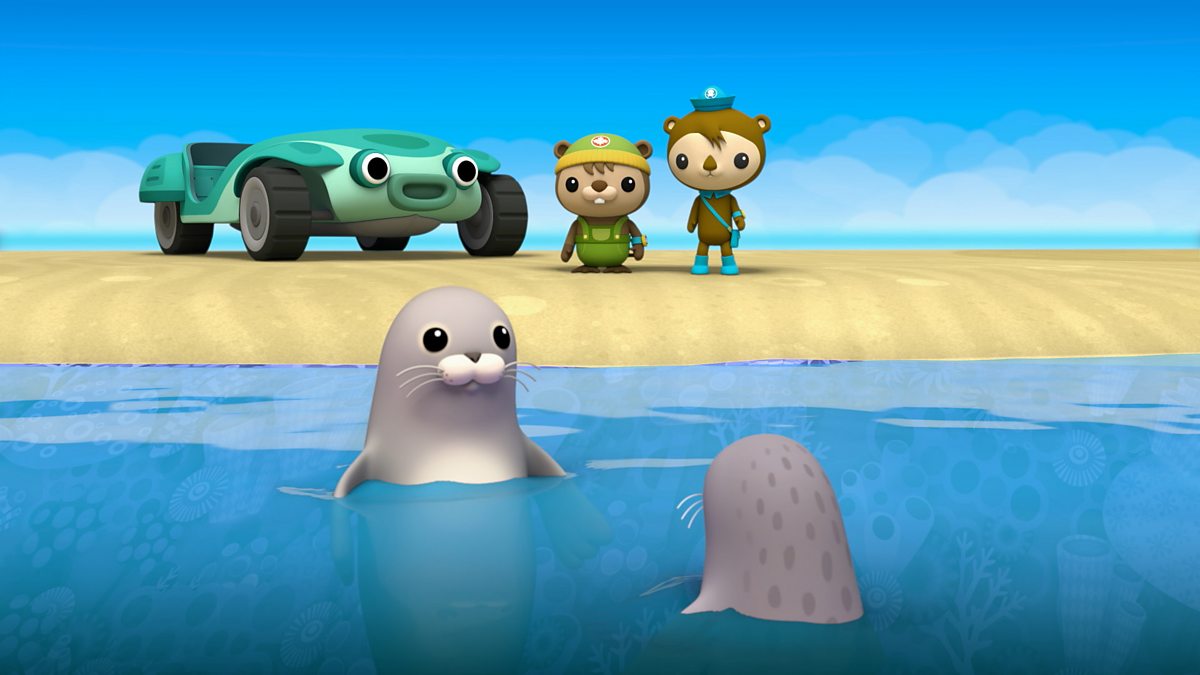 Octonauts: Above & Beyond - Series 4: 20. Hawaiian Monk Seals - BBC iPlayer