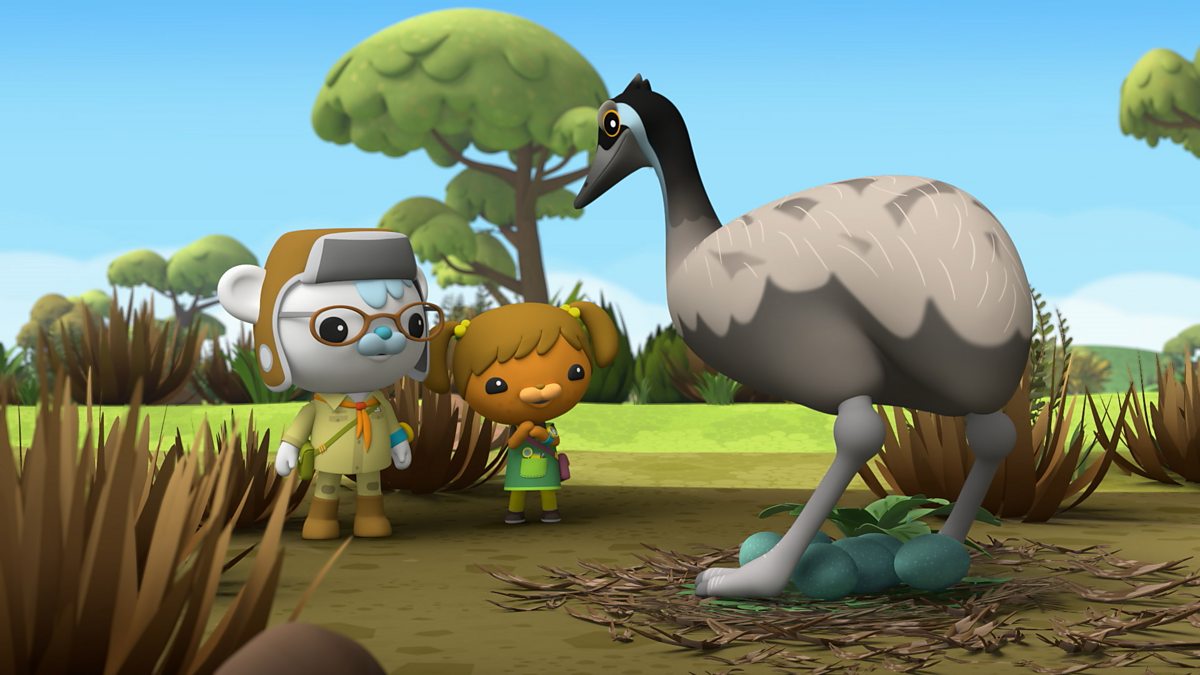 Octonauts: Above & Beyond - Series 4: 23. Billabong Mystery - BBC iPlayer