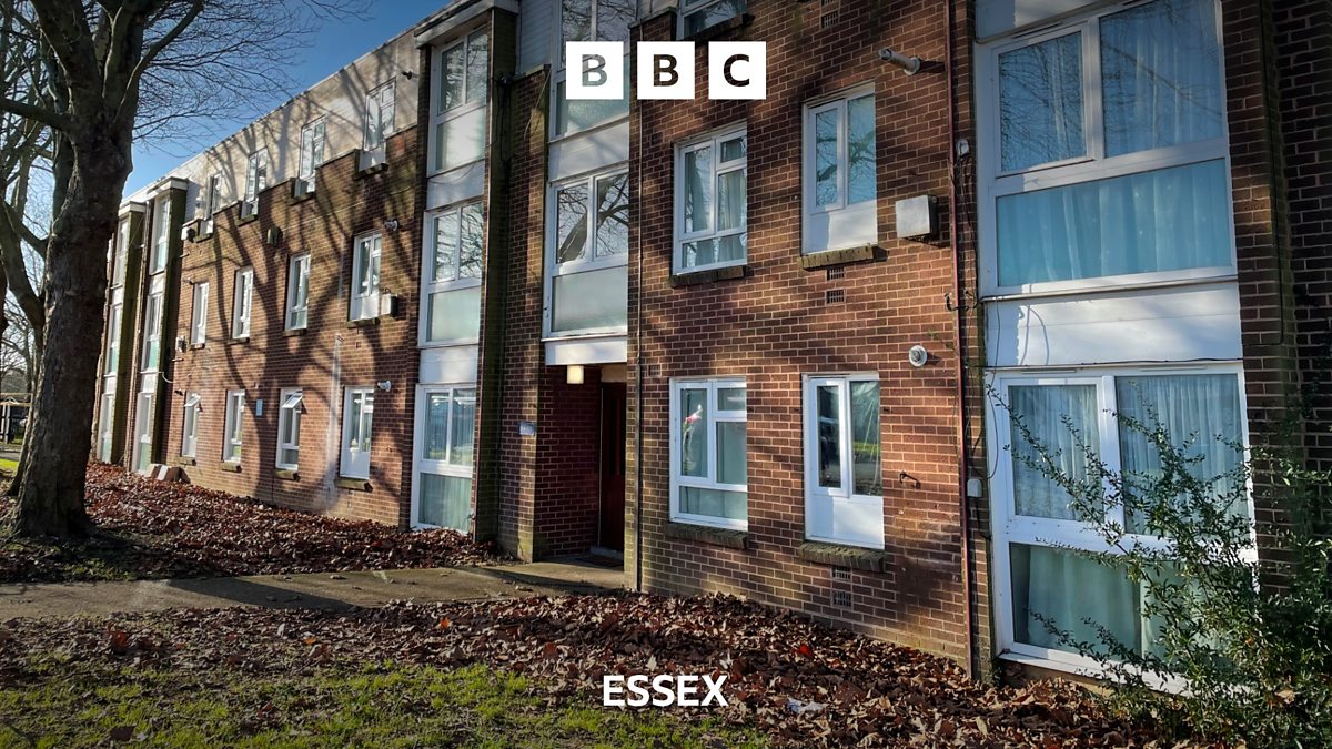 BBC Essex BBC Essex, Harlow flats could be demolished