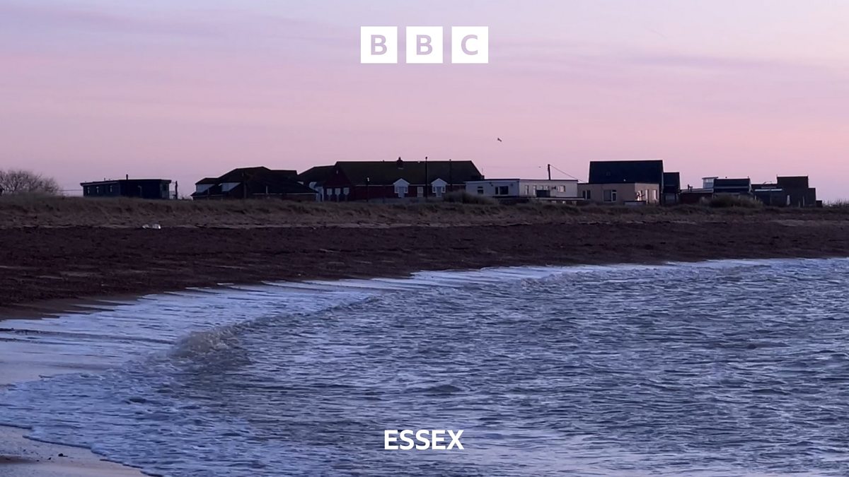 BBC Essex - BBC Essex, Jaywick dog attack: Reaction